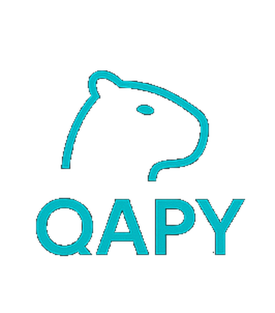 Qapy Logo